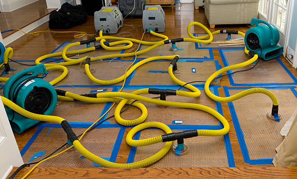 Professional Crawl Space Water Removal technician working in Greenfield, NH